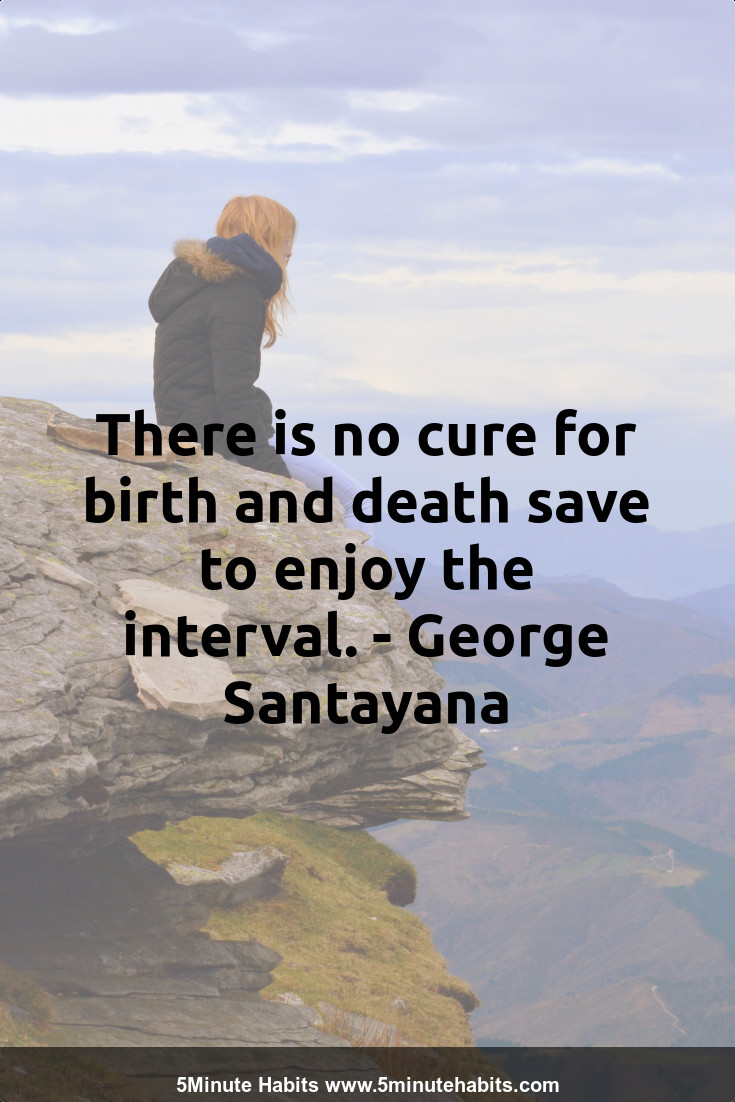 There is no cure for birth and death save to enjoy the interval. - George Santayana